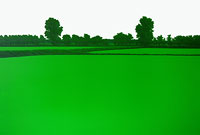 "Untitled", 2005, oil on canvas, cm 135 x 200 (53,1 x 78,7 inches)